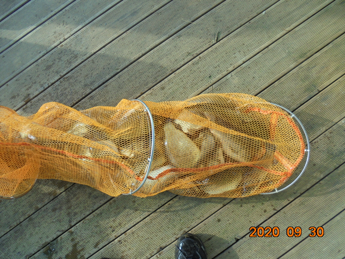 ϰ_DSC04523.JPG