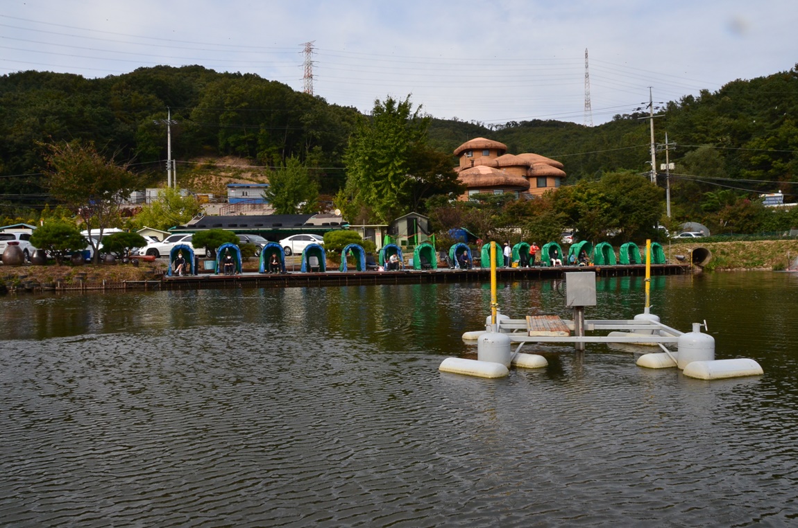 DSC_4460.JPG