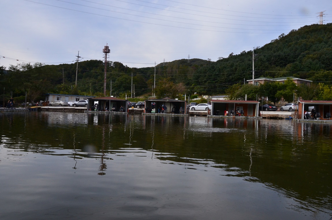 DSC_4490.JPG