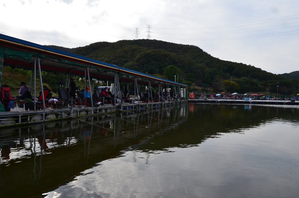 DSC_4515.JPG