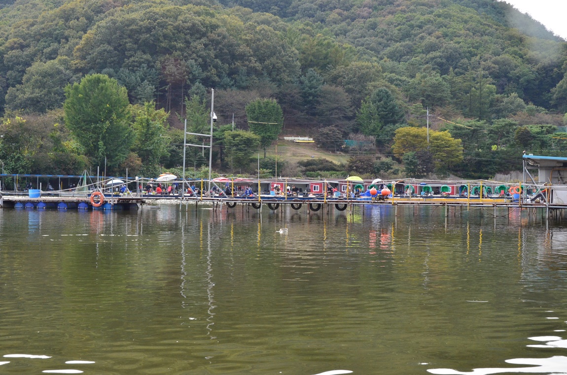 DSC_4518.JPG