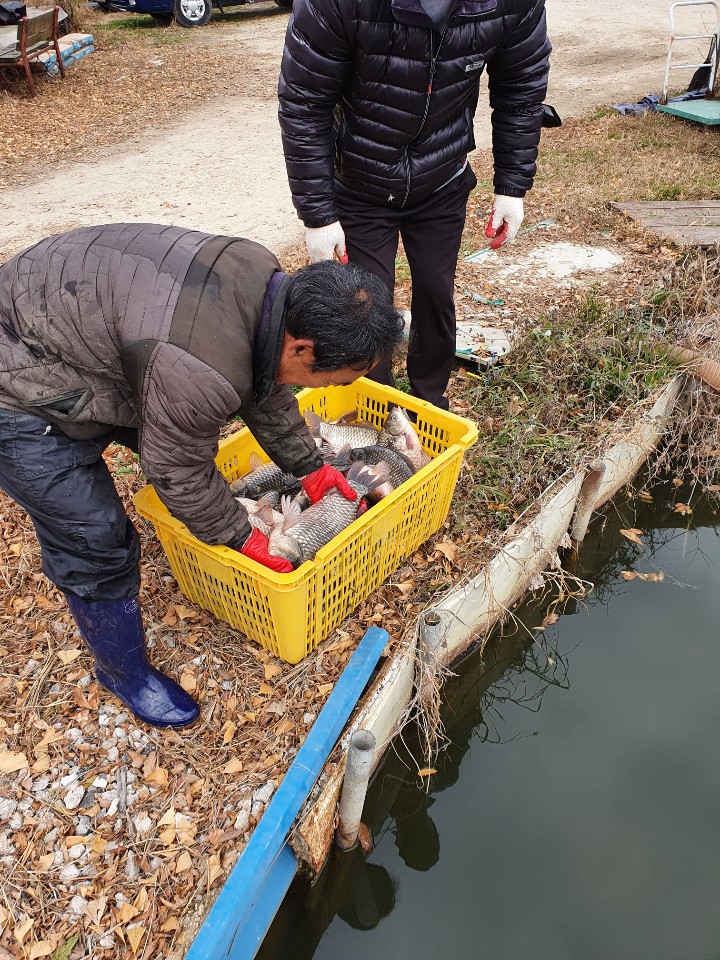 KakaoTalk_20201202_174757680_10.jpg