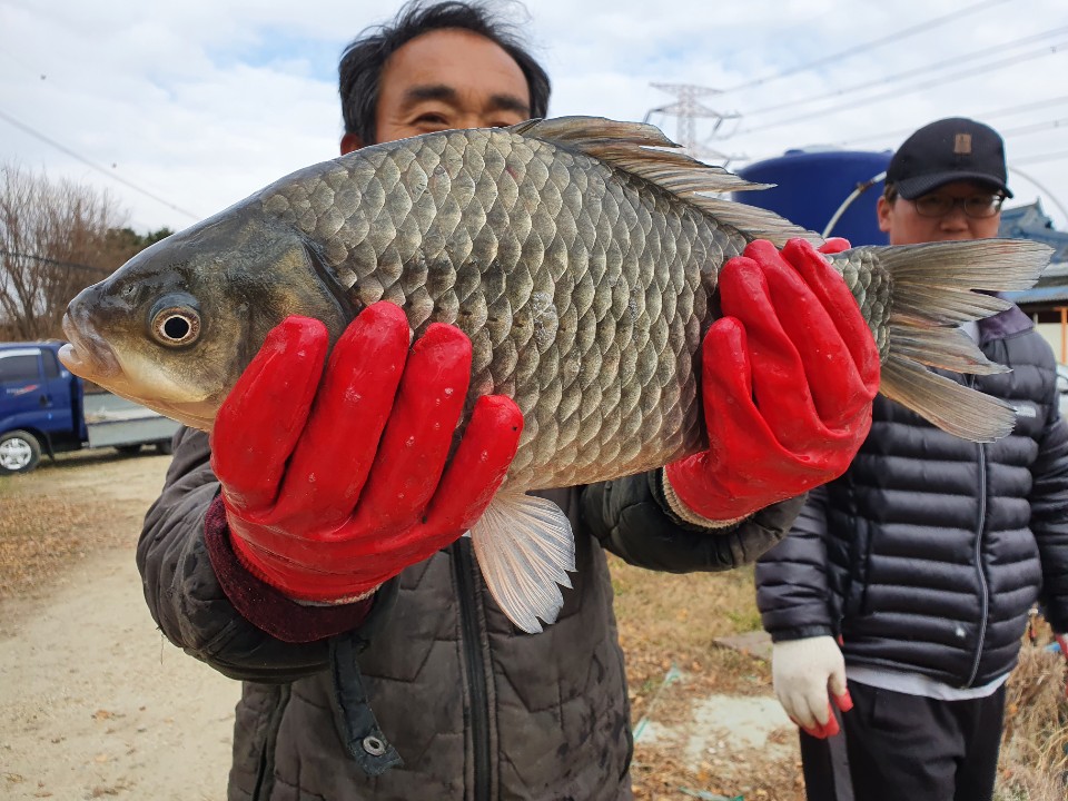 KakaoTalk_20201202_174757680_11.jpg