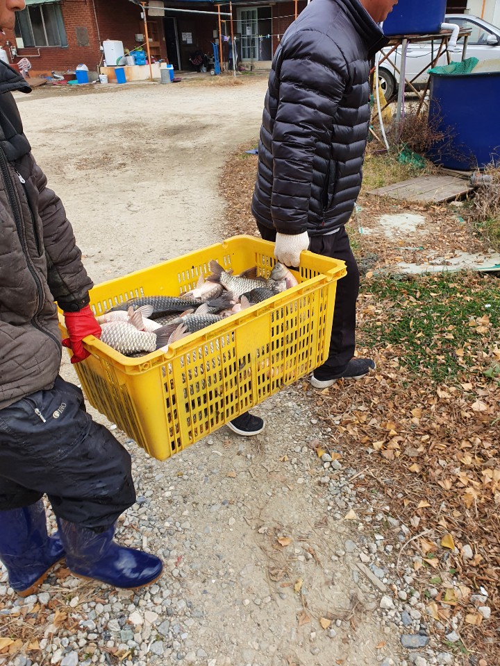 KakaoTalk_20201202_174757680_09.jpg