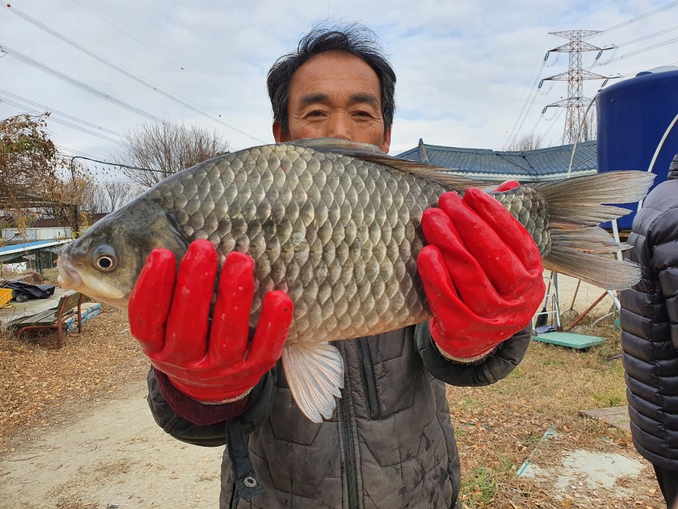 KakaoTalk_20201202_174757680_14.jpg