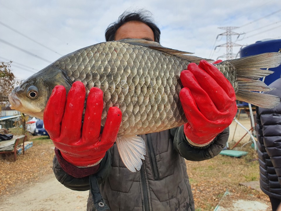 KakaoTalk_20201202_174757680_16.jpg