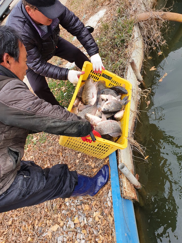 KakaoTalk_20201202_174757680_19.jpg