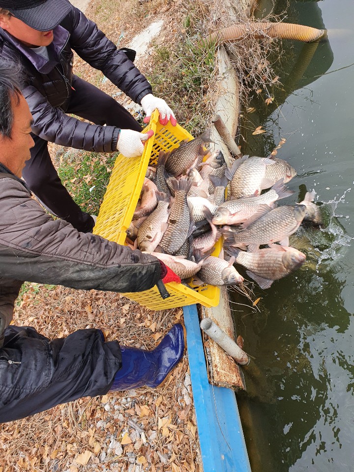 KakaoTalk_20201202_174757680_20.jpg