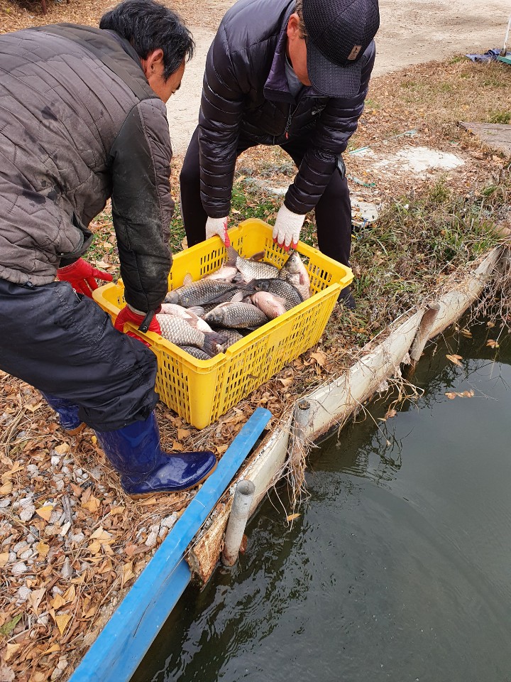 KakaoTalk_20201202_174757680_18.jpg