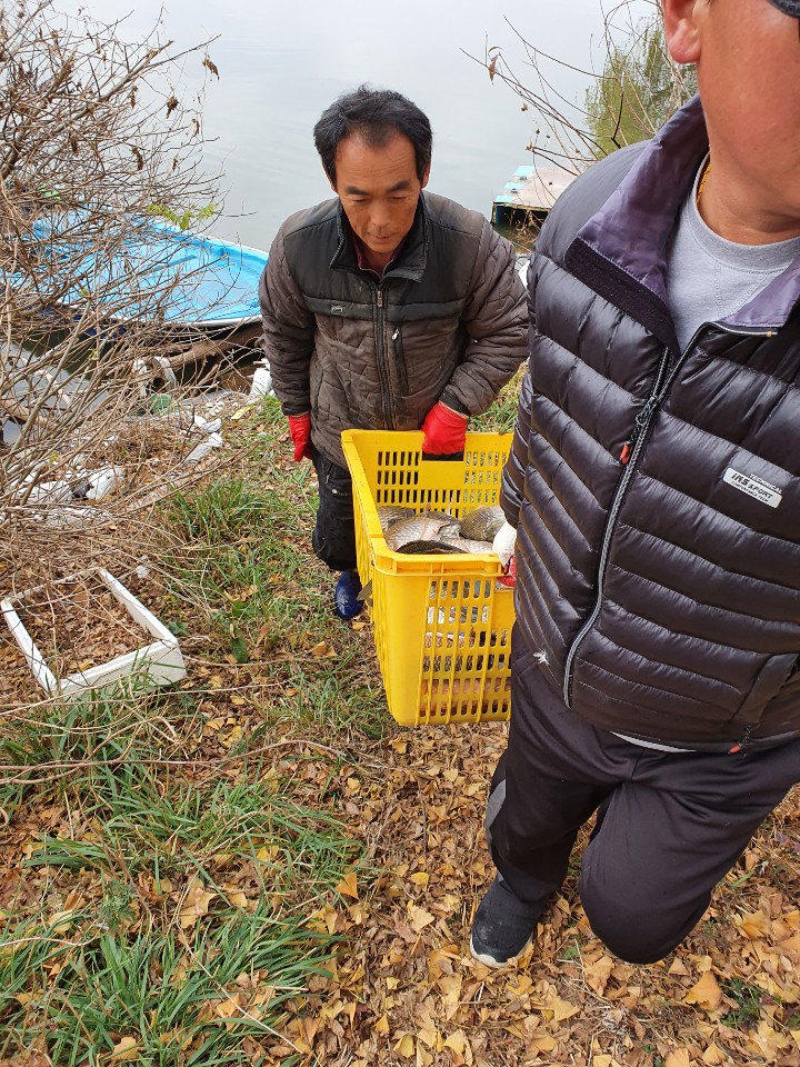 KakaoTalk_20201202_174809730_02.jpg