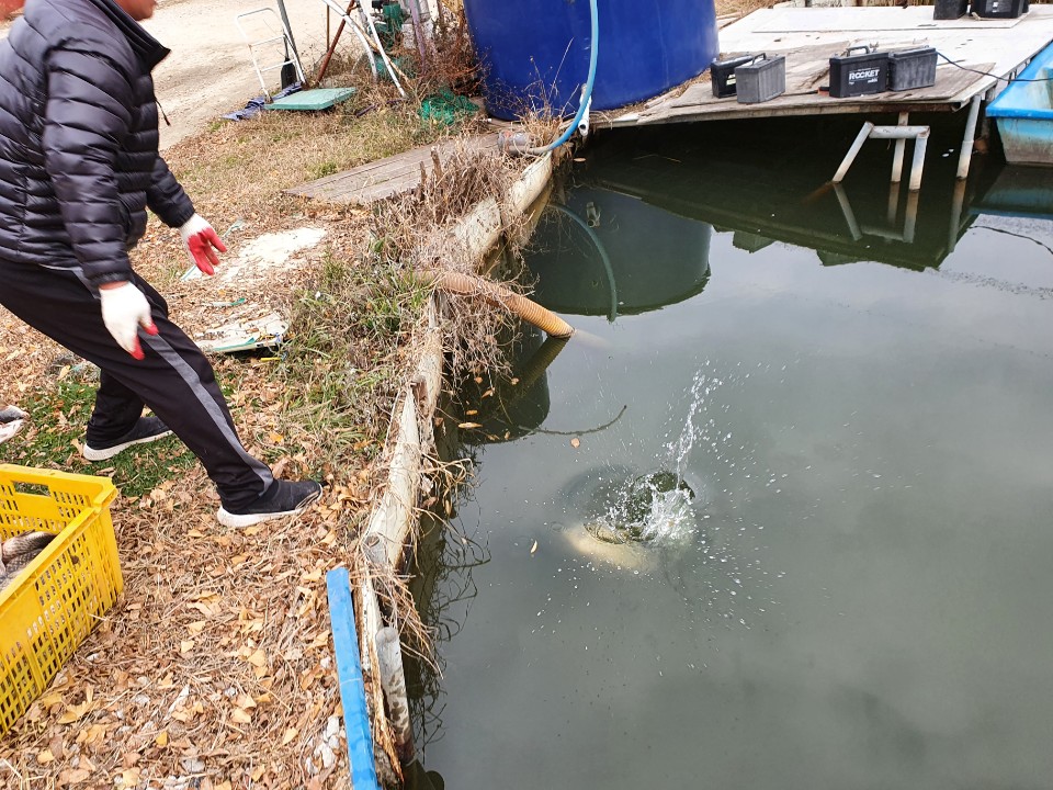 KakaoTalk_20201202_174809730_12.jpg