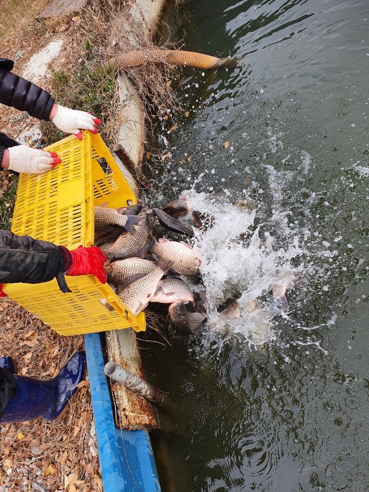 KakaoTalk_20201202_174809730_17.jpg