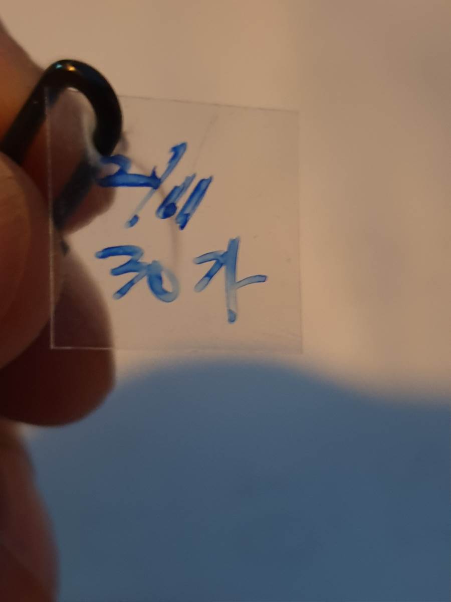 2021.03.05 011.jpg