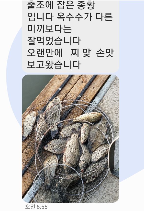 문자-1.JPG