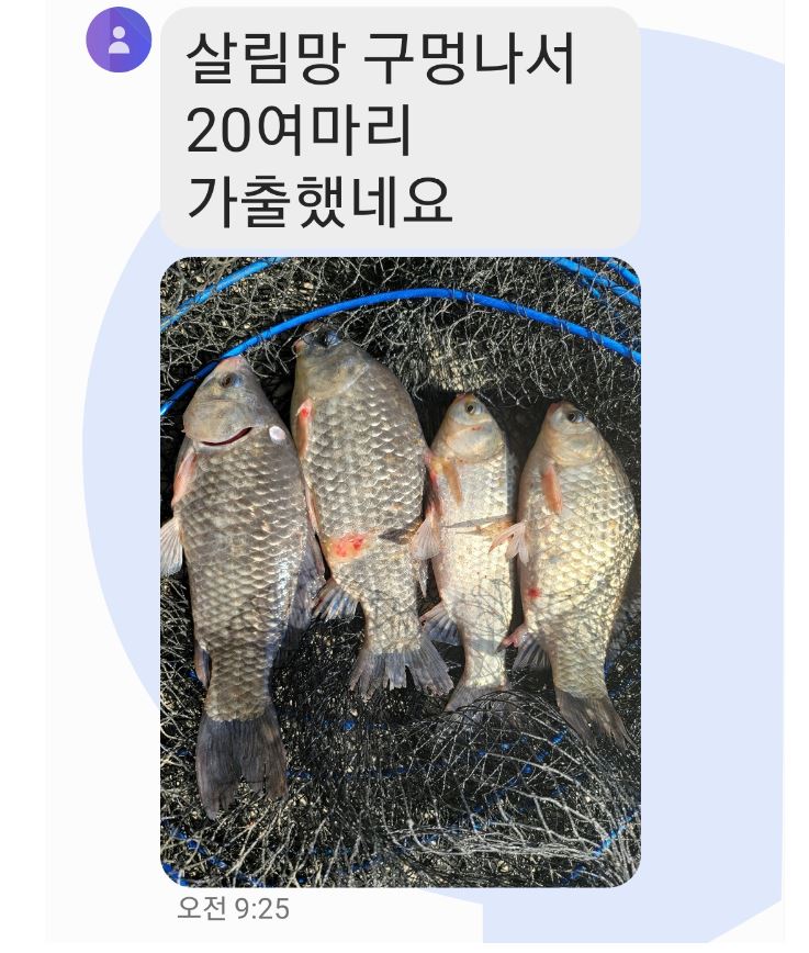 20마리탈출.JPG