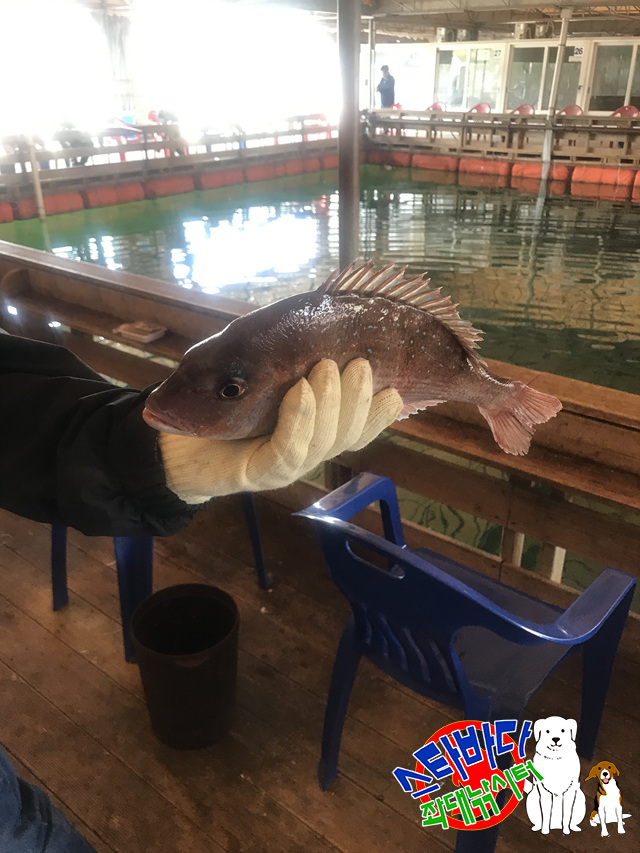 KakaoTalk_20190514_223921050_18.jpg