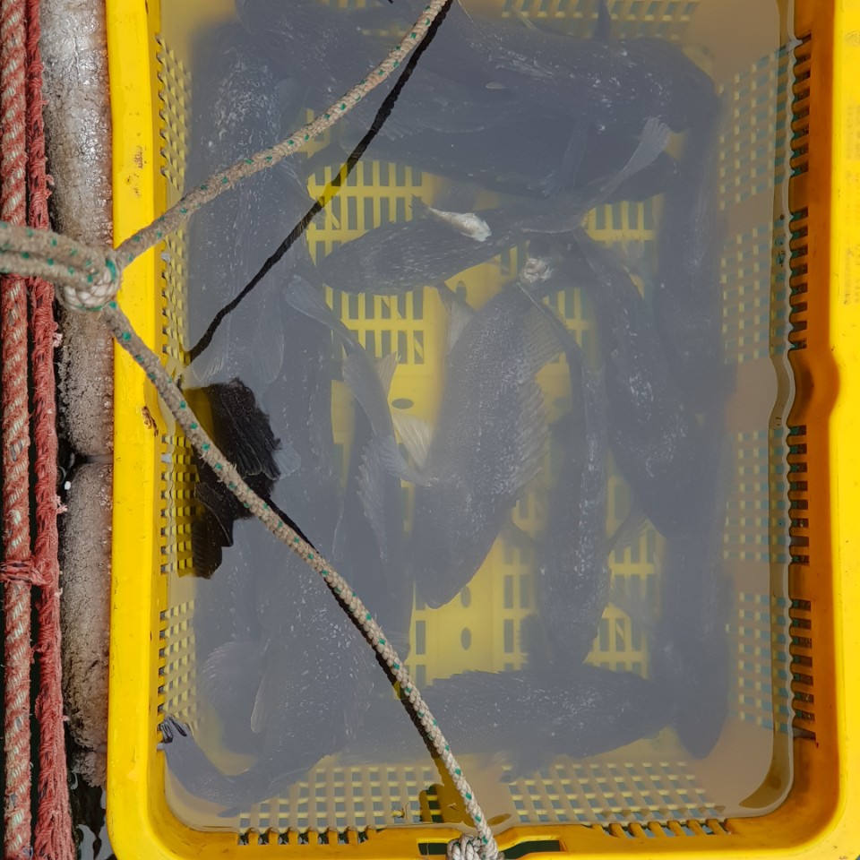 1568106574259.jpg