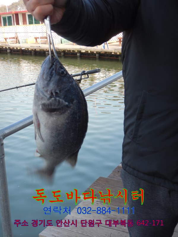 8.JPG