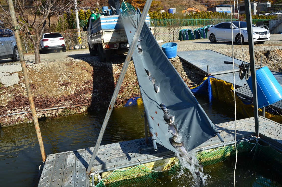 DSC_2371.JPG