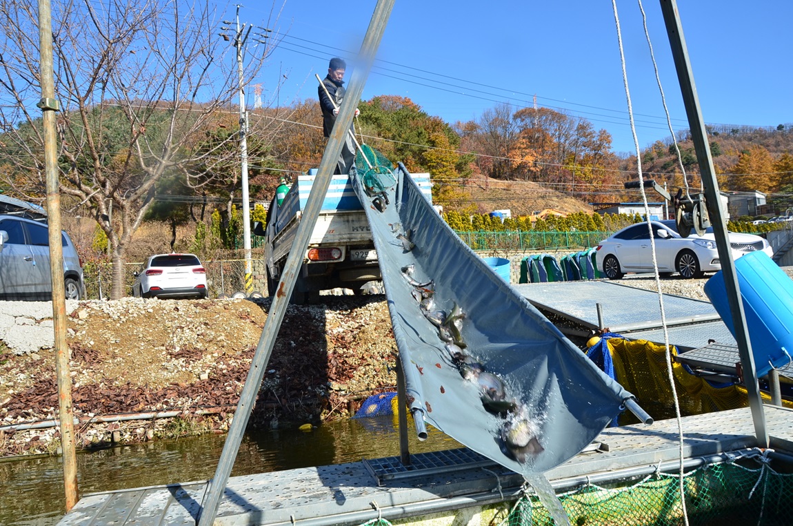 DSC_2374.JPG
