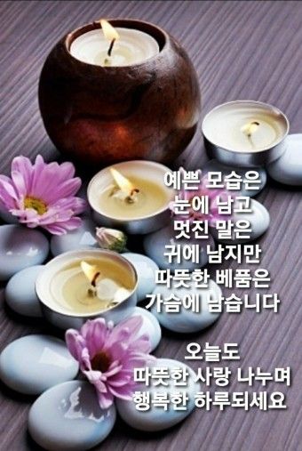 행복한 수요일 사진