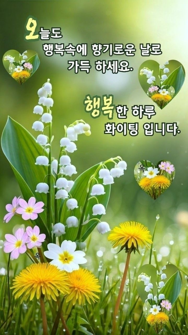 KakaoTalk_20260407_090220960.jpg