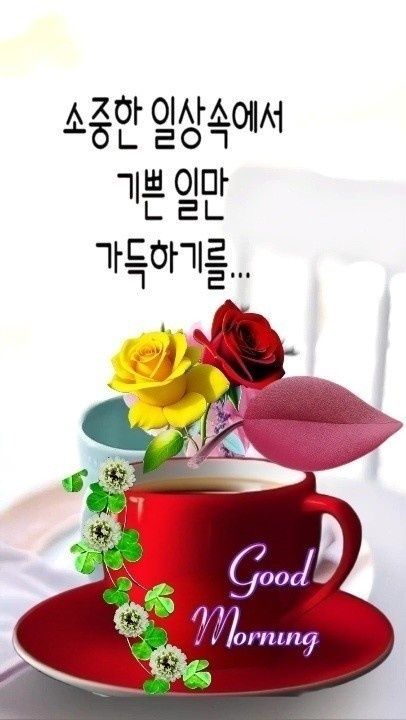 KakaoTalk_20260421_080006033.jpg