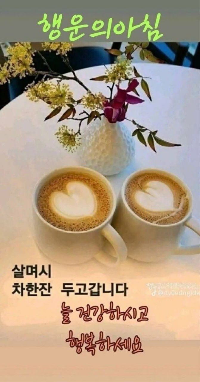 KakaoTalk_20260115_080002623.jpg