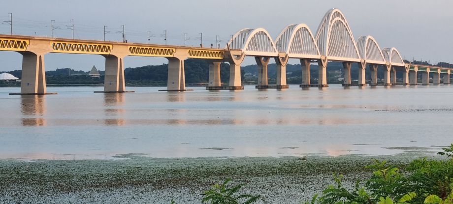 20260806_060333.jpg