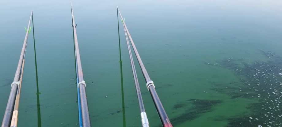 20260808_061350.jpg